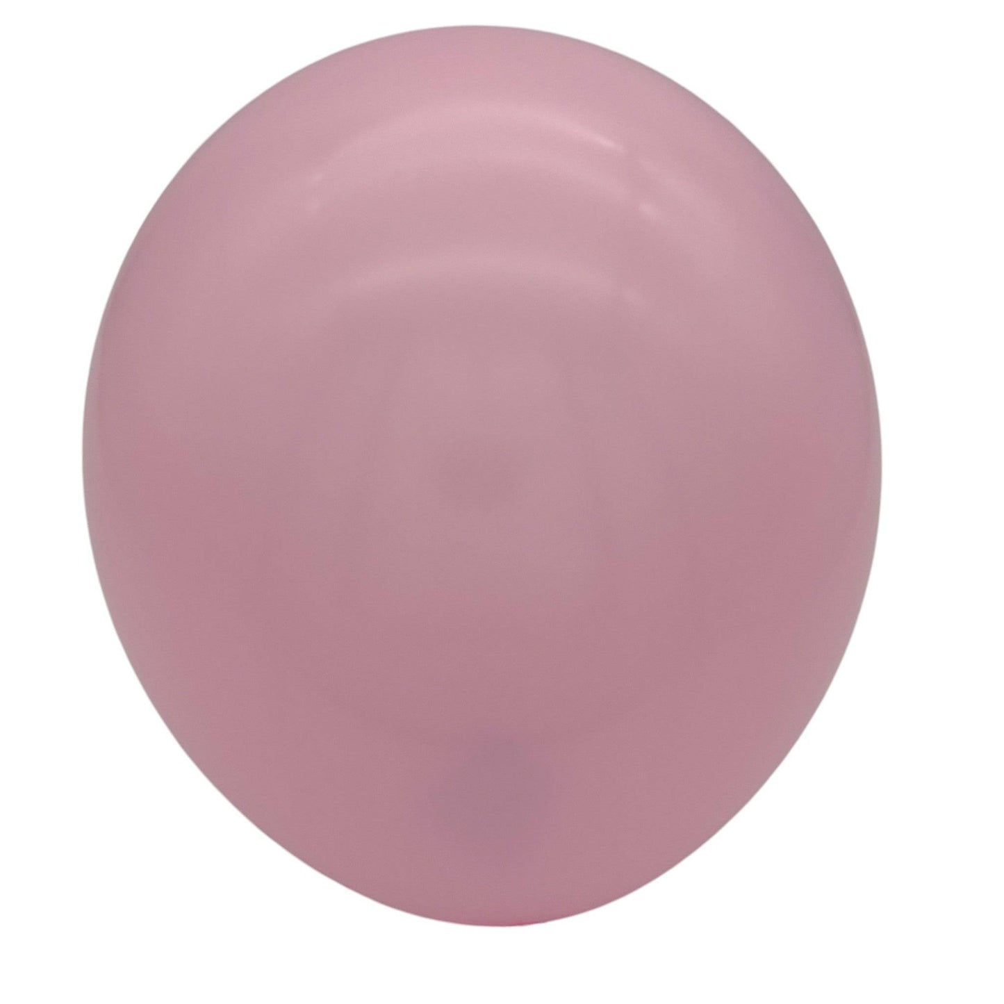 12" Latex - Standard (72ct) - Winntex
