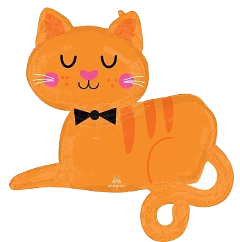 31" Orange Tabby Cat - Anagram