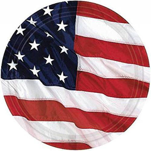 7" Paper Plates - Flying Colors (8ct) - Amscan