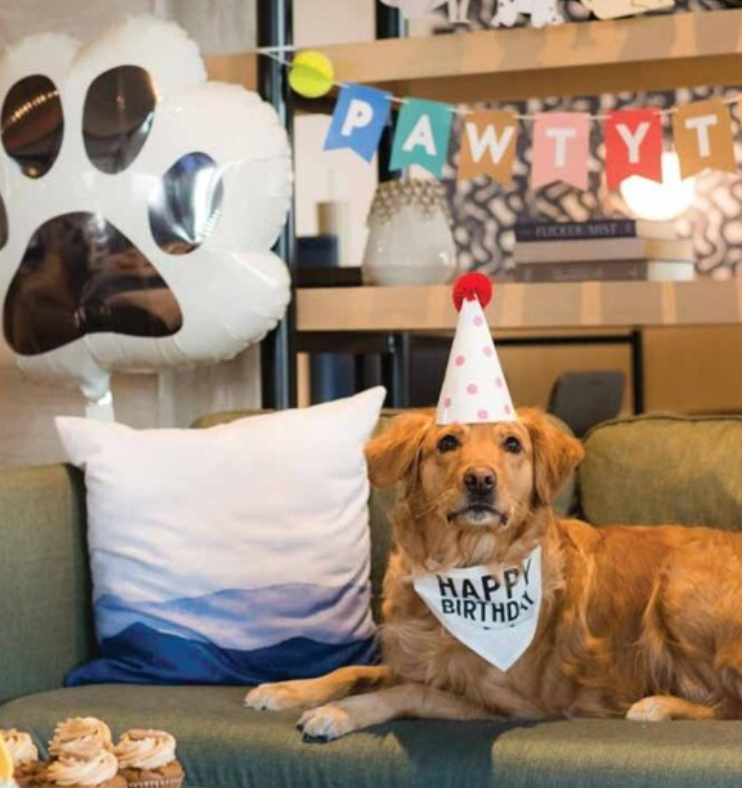 Pawsome Party Dog Paw Print 23″ Balloon