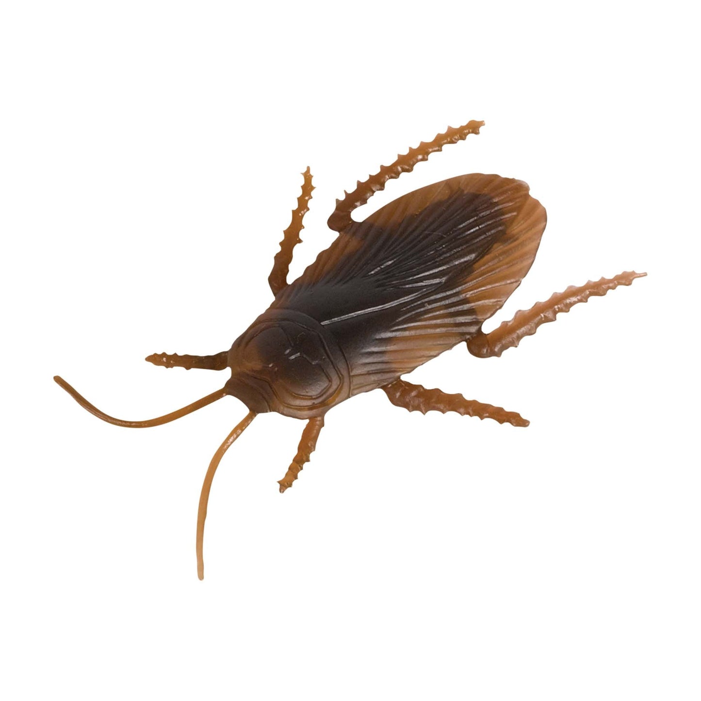 Cockroach Multi-Pack by Amscan from Instaballoons