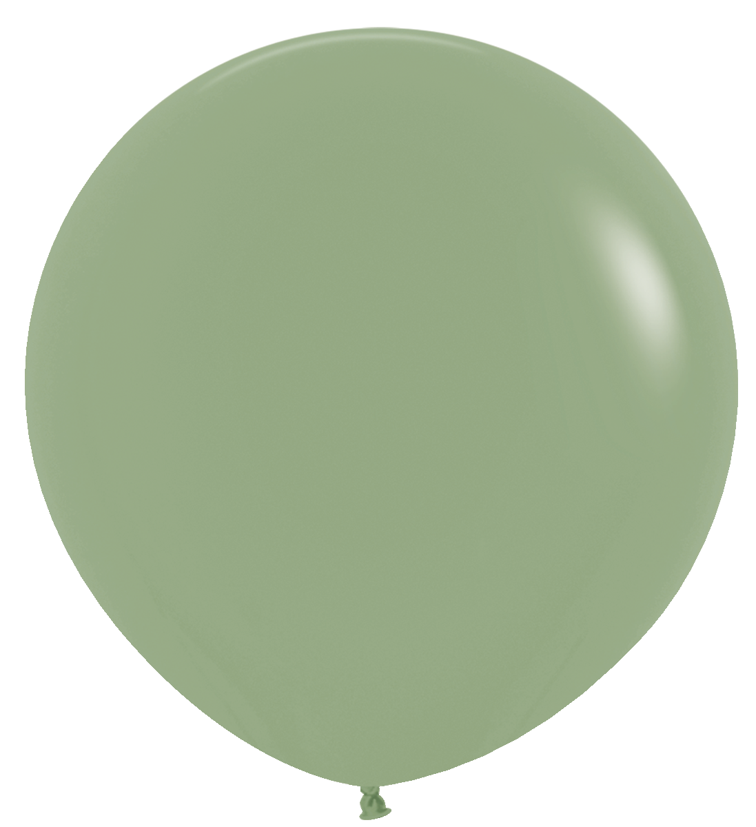 Deluxe Eucalyptus 36″ Latex Balloons by Sempertex from Instaballoons