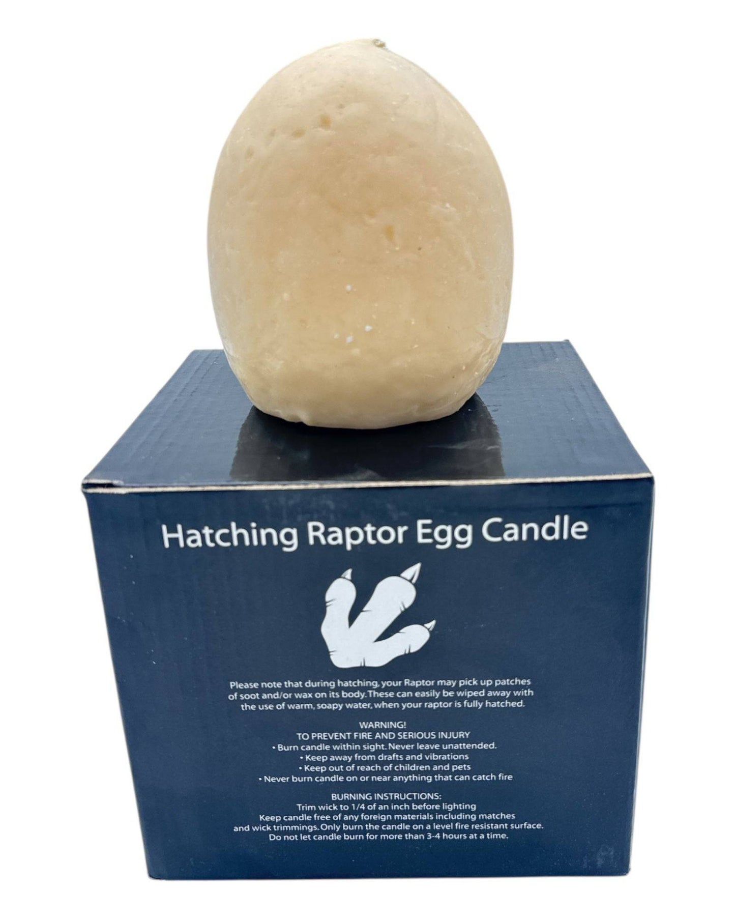 Hatching Raptor Egg Candle (1 Count) - Winner Party