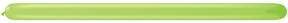Qualatex Latex Lime Green 260Q Latex Balloons (50 count)