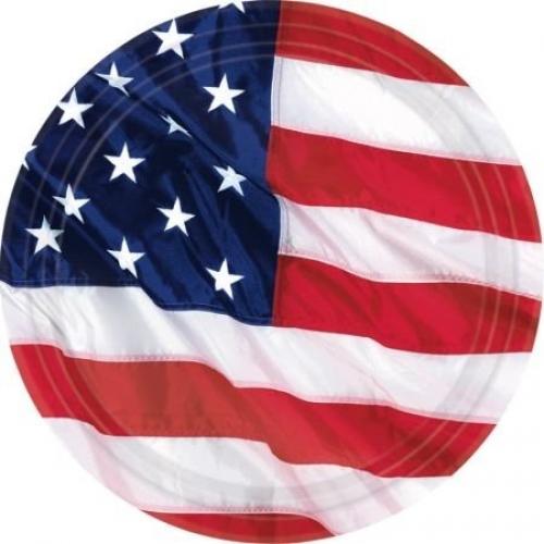 10.5" Paper Plates - Flying Colors (8ct) - Amscan