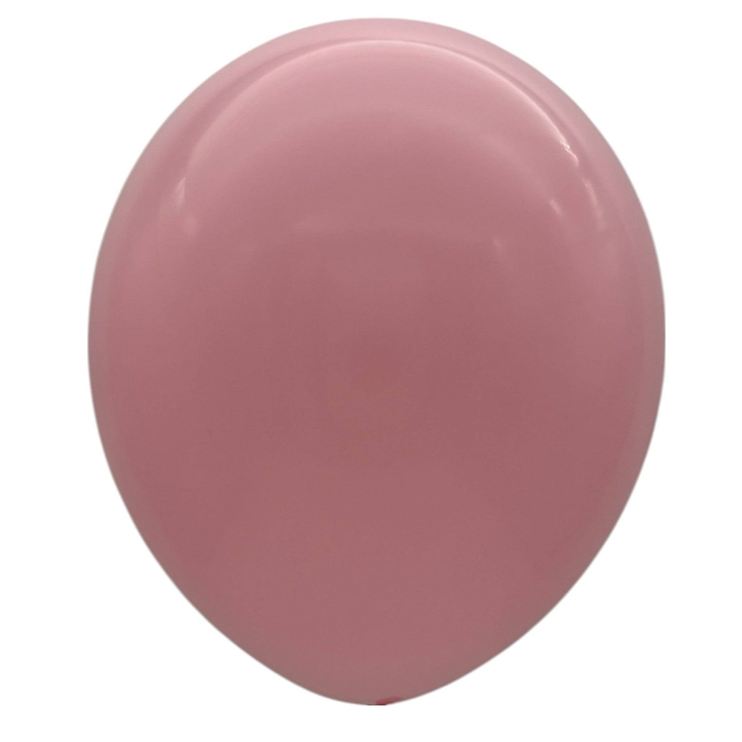12" Latex - Standard (72ct) - Winntex