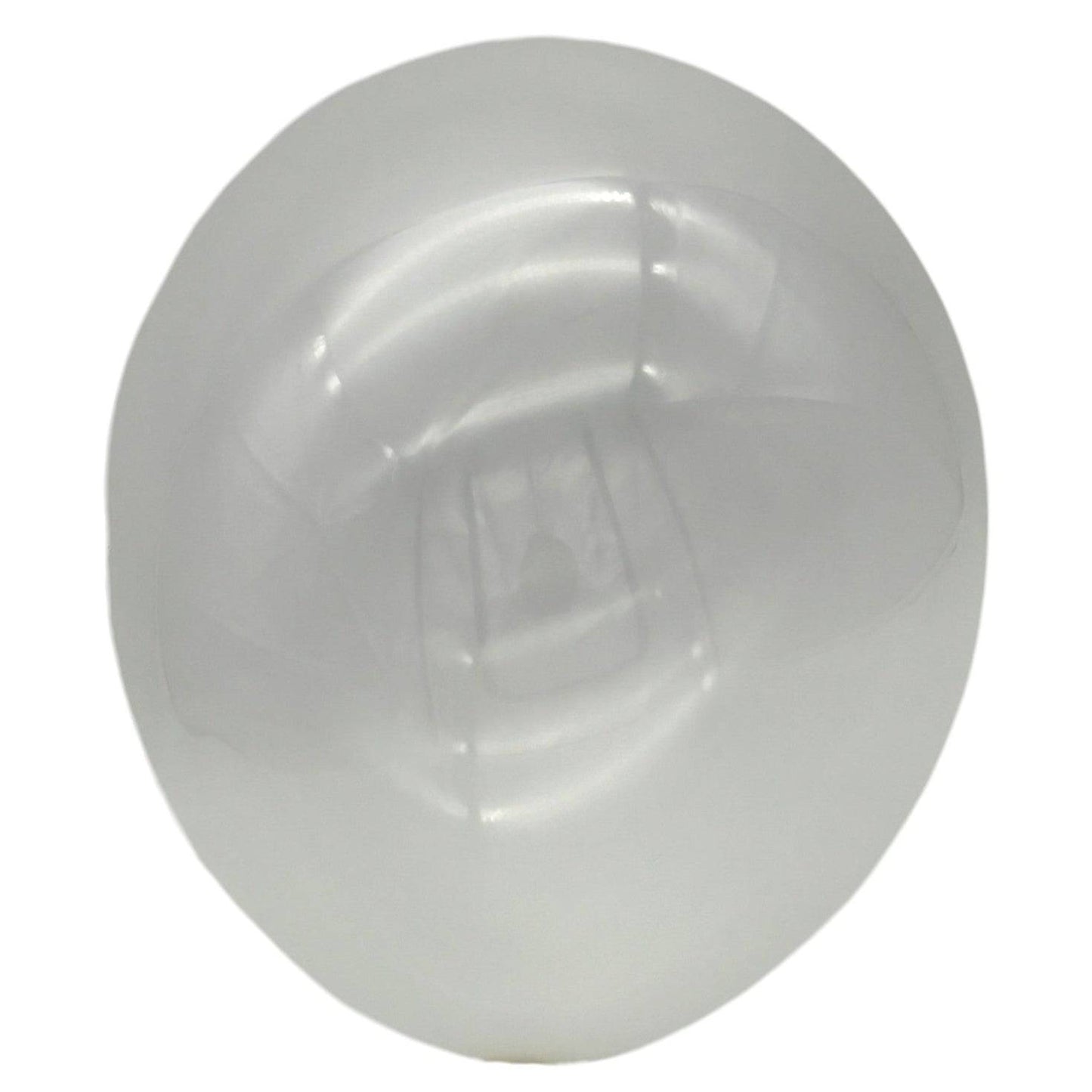 12" Latex - Standard (72ct) - Winntex