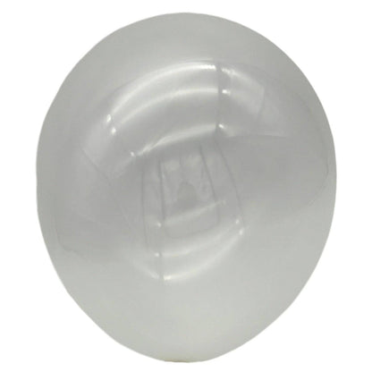 12" Latex - Standard (72ct) - Winntex