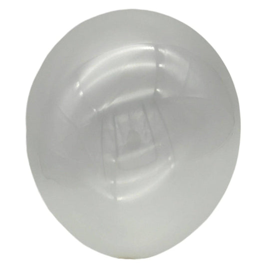 12" Latex - Standard (72ct) - Winntex
