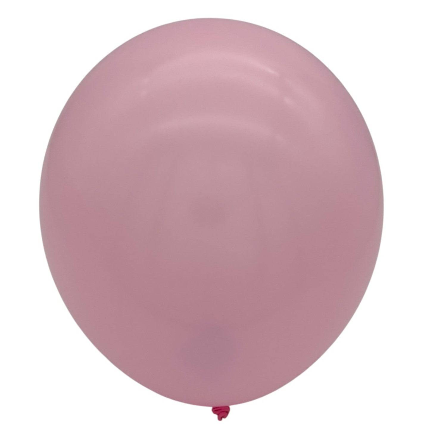 12" Latex - Standard (72ct) - Winntex