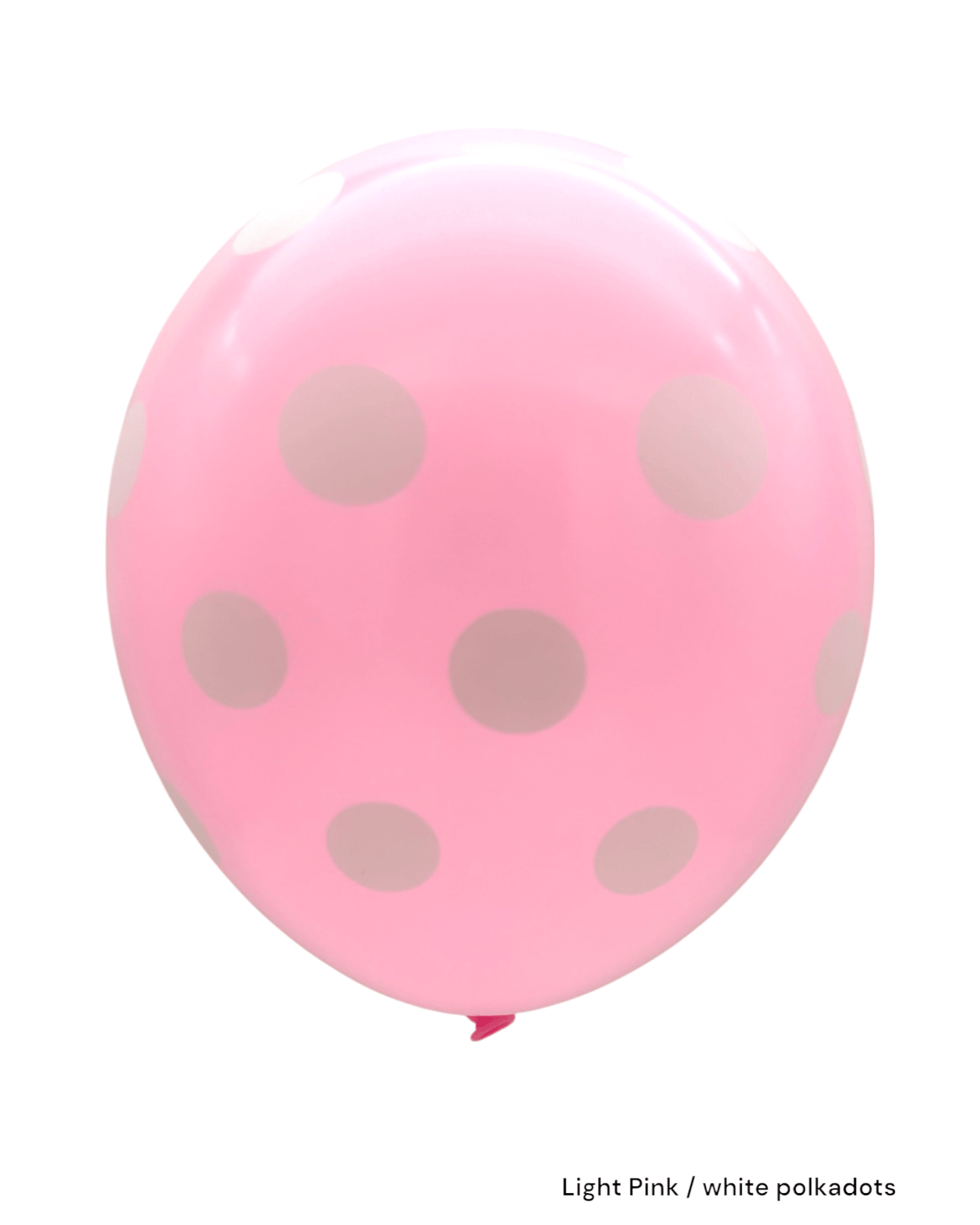 12" Polka Dots (72ct) - Winntex