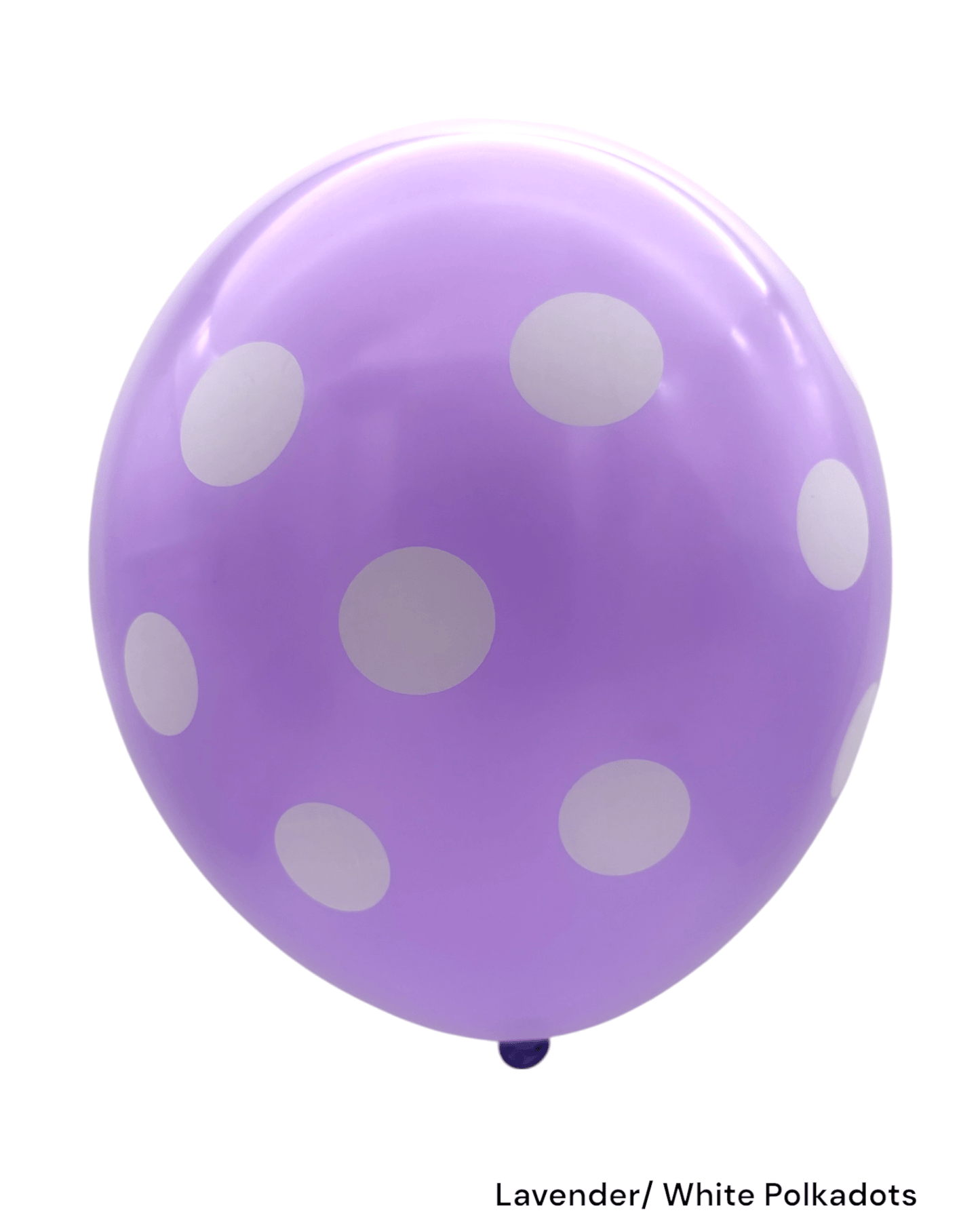 12" Polka Dots (72ct) - Winntex