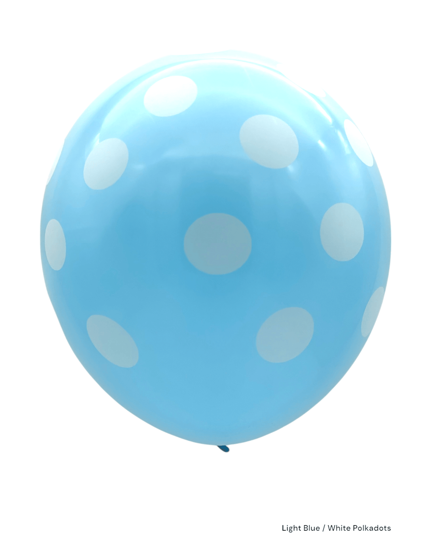 12" Polka Dots (72ct) - Winntex