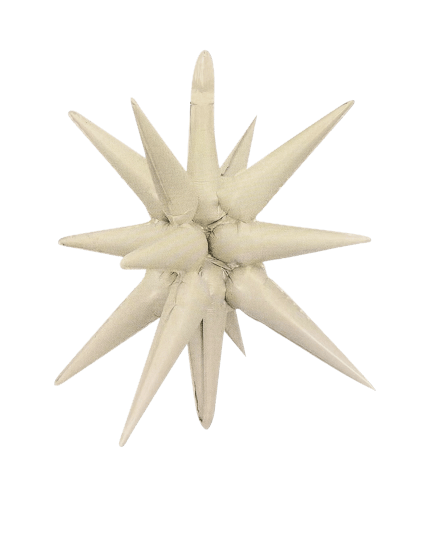 27" Starburst - Winner Party