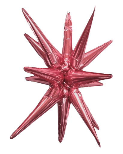 27" Starburst - Winner Party