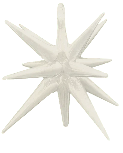 27" Starburst - Winner Party