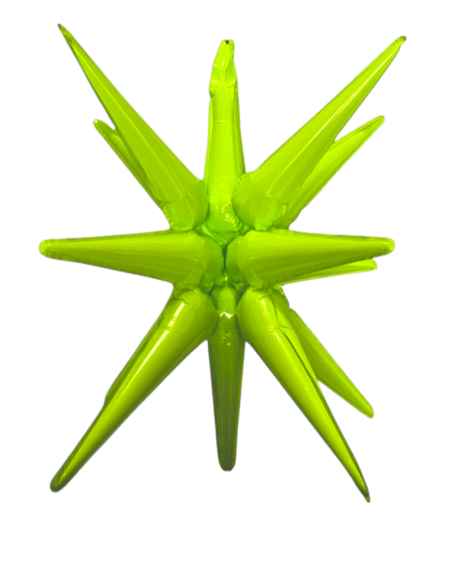 27" Starburst - Winner Party