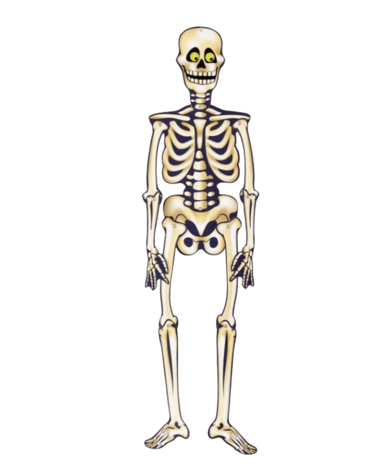 35" Halloween Jointed Skeleton - Unique