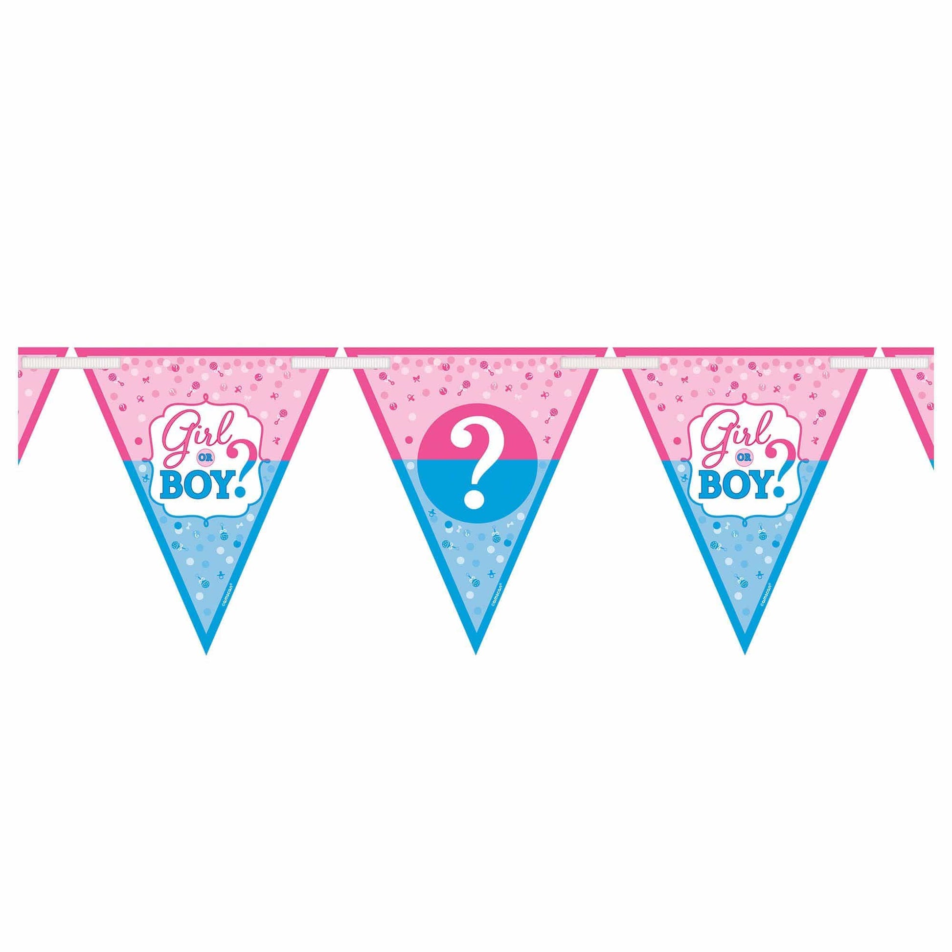 Amscan Party Supplies Girl or Boy Banner