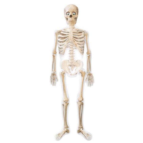 Anagram Mylar & Foil Mr. Bones Skeleton AirWalker 75″ Balloon