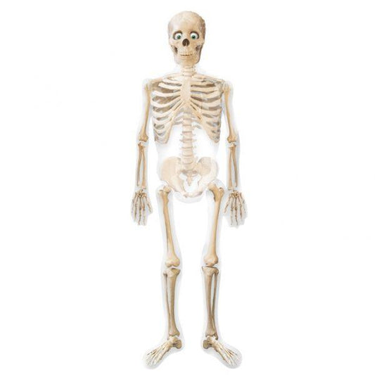 Anagram Mylar & Foil Mr. Bones Skeleton AirWalker 75″ Balloon