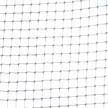 Balloon Net Pre-Strung™ (20ft x 7ft) - Silver Rainbow