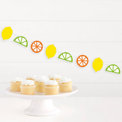 Citrus Fruit Garland by Unique from Instaballoons