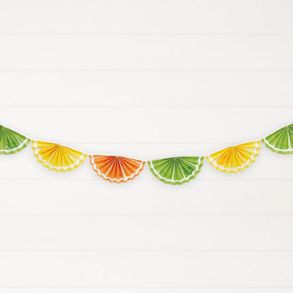 Citrus Fruit Paper Fan Decoration by Unique from Instaballoons