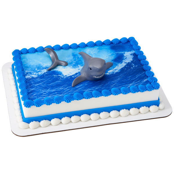 Shark Creations
