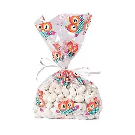Fun Express Owl Party Cello Bags (12 count)