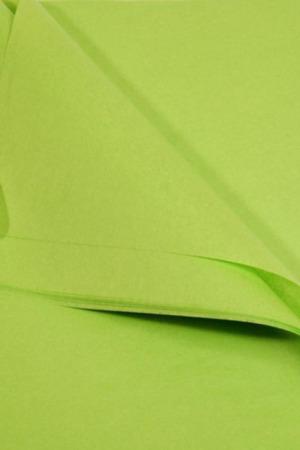 SatinWrap Party Supplies Tissue Paper 20"x30" Citrus Green (480 sheets)
