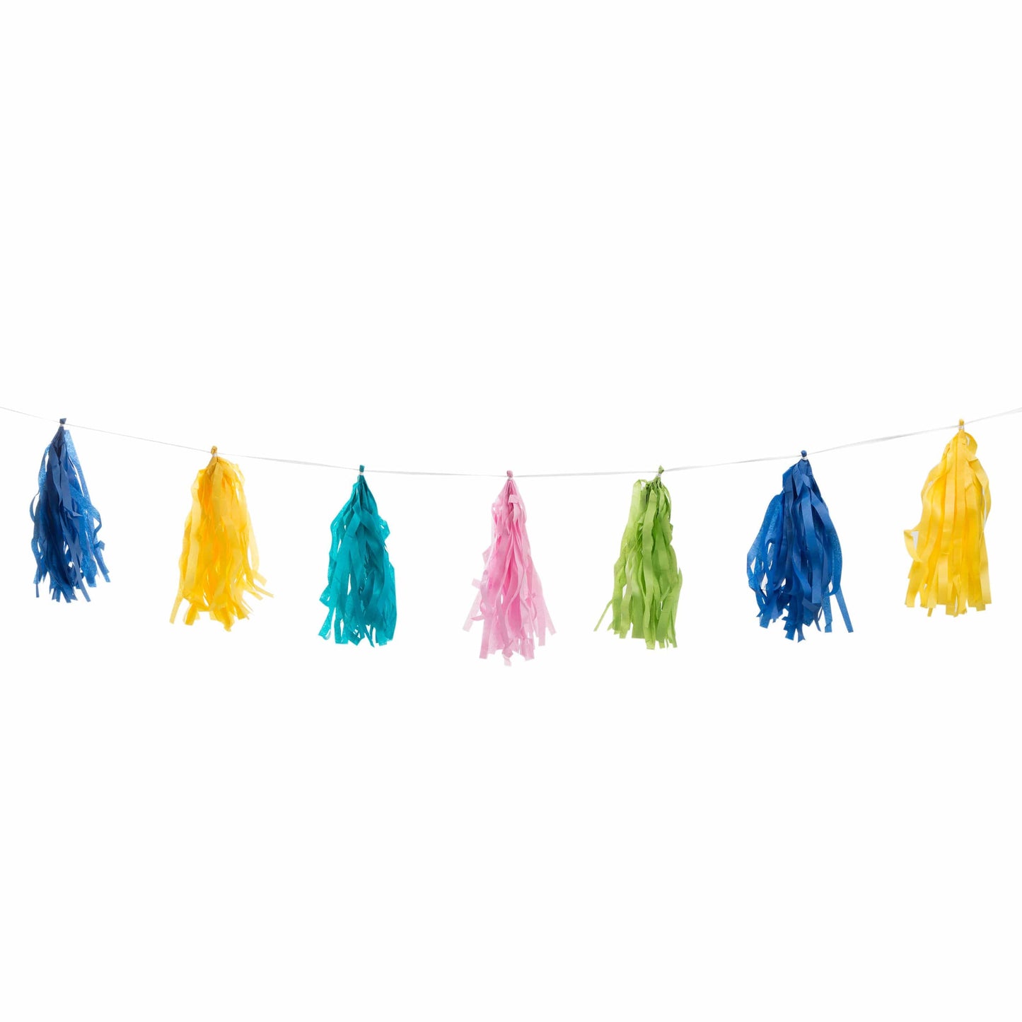 Unique Party Supplies Multi-Color 9-Foot Tassel Garland